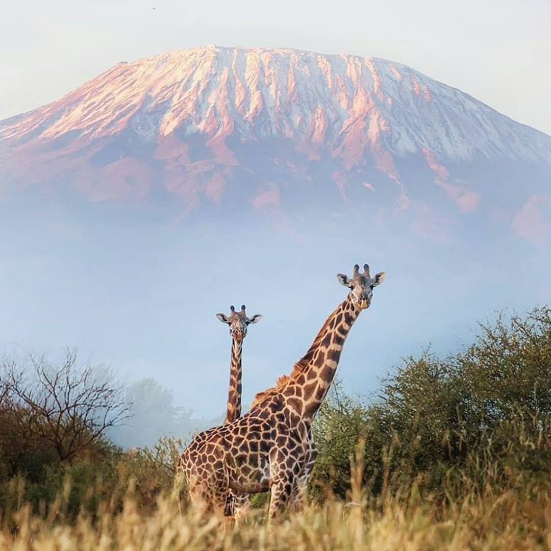 Корона Танзании